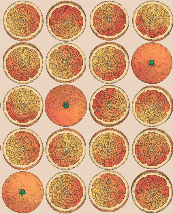 Cole & Son Arance Orange & Cream Rousseaus Wallpaper