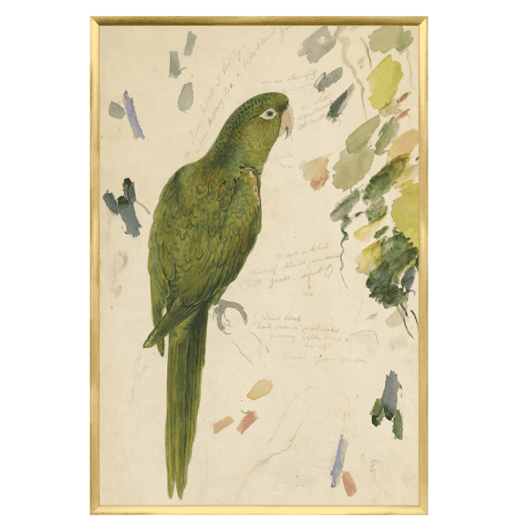 Lear – Vibrant Green Parrot