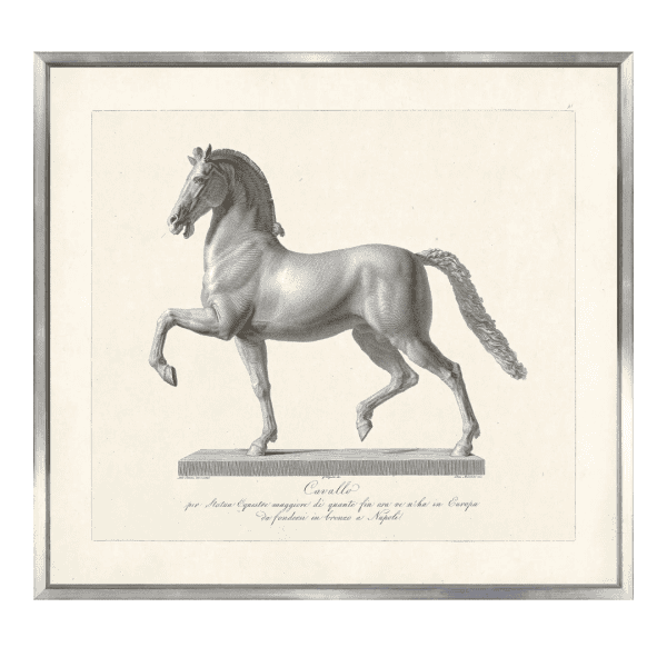 Cavallo Etching 1812 II