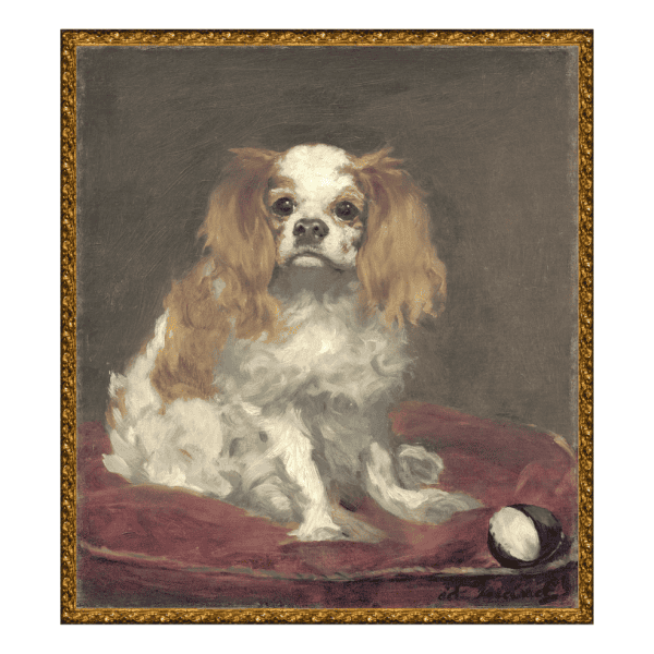King Charles Spaniel c.1866